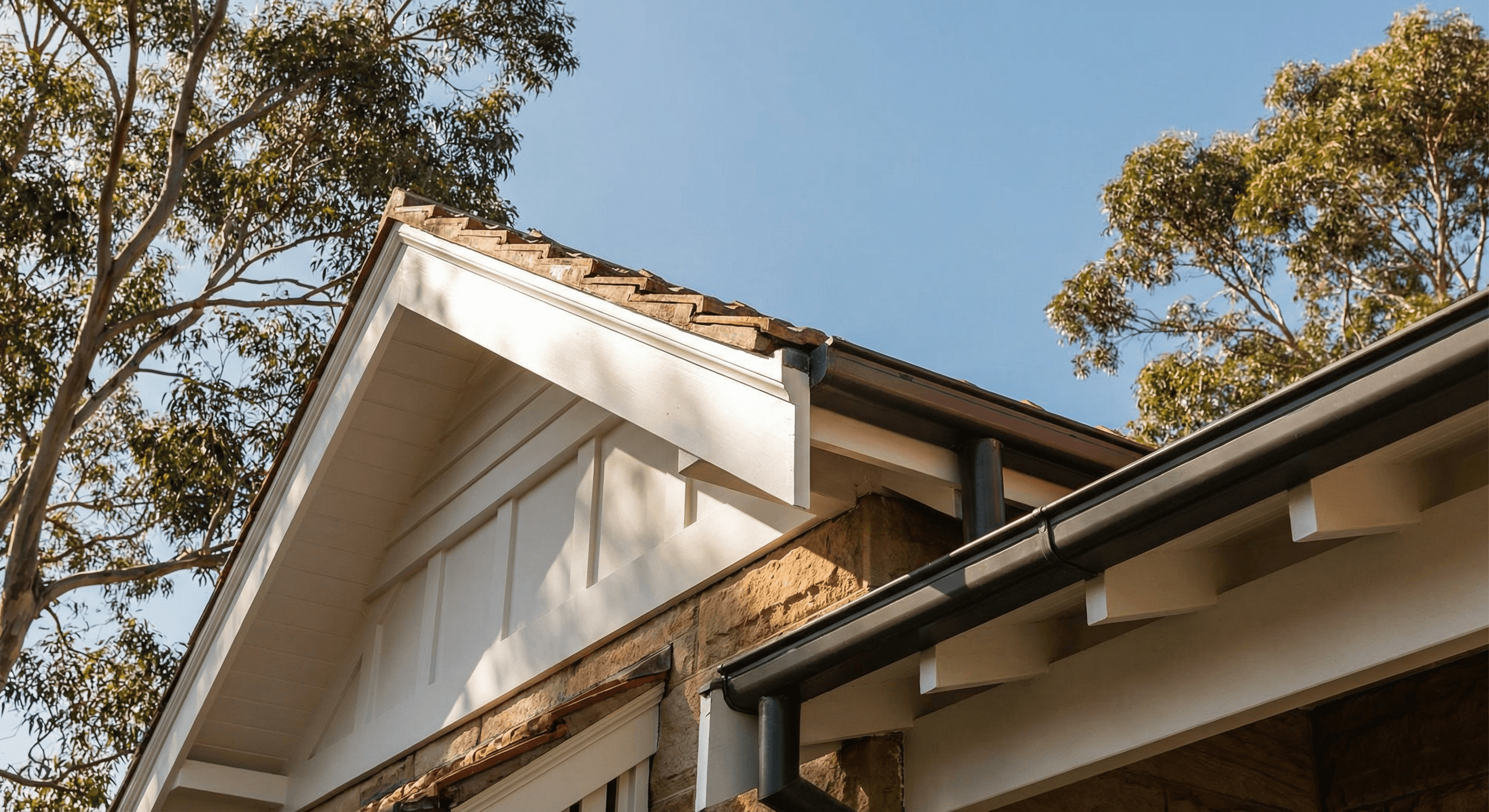 Roofline fascia and gutter painting
